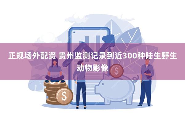 正规场外配资 贵州监测记录到近300种陆生野生动物影像