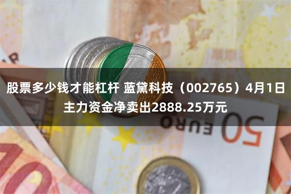 股票多少钱才能杠杆 蓝黛科技（002765）4月1日主力资金净卖出2888.25万元