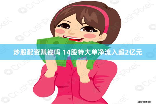 炒股配资赚钱吗 14股特大单净流入超2亿元